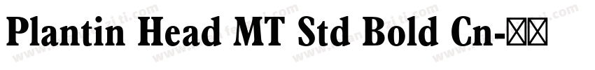Plantin Head MT Std Bold Cn字体转换